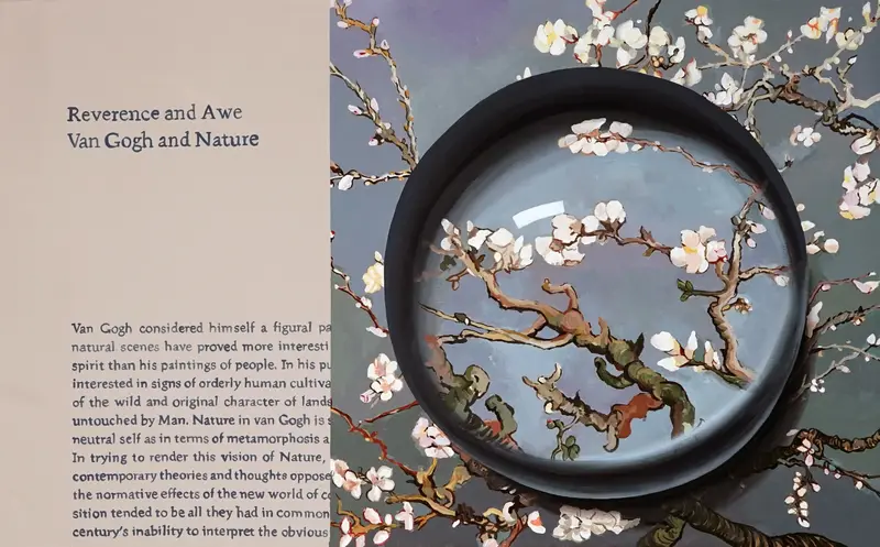 Convex Memory-Hommage to Gogh